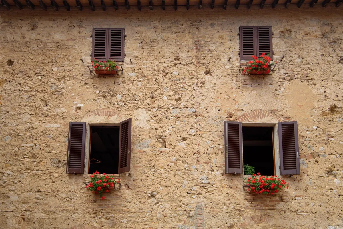 How to Build a Pollinator-Friendly Window Box for UK Balconies